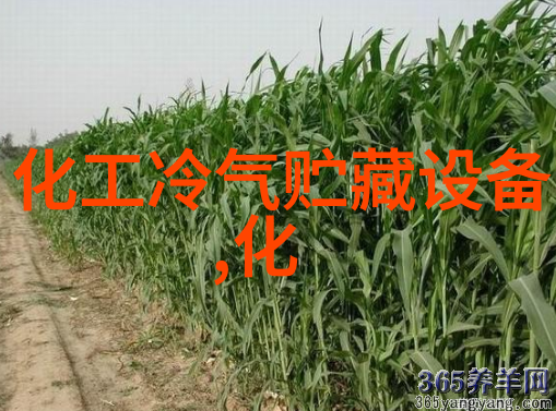 自动式冰水冲击箱试验设备适用车辆运输业岳信厂家