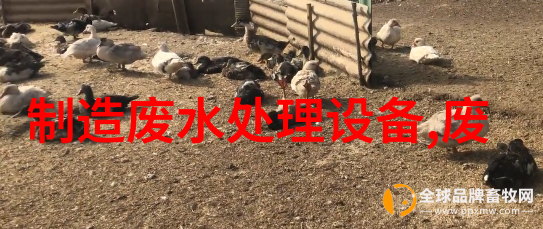 美赢锋环保活性炭催化燃烧一体化装置